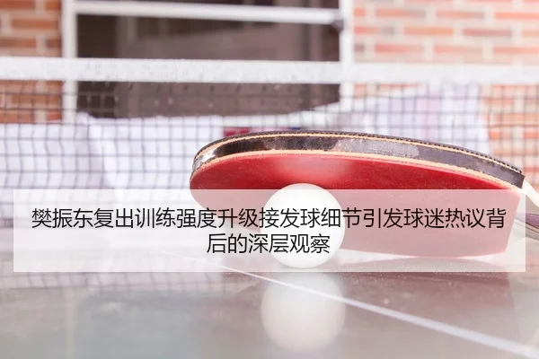 樊振东复出训练强度升级接发球细节引发球迷热议背后的深层观察