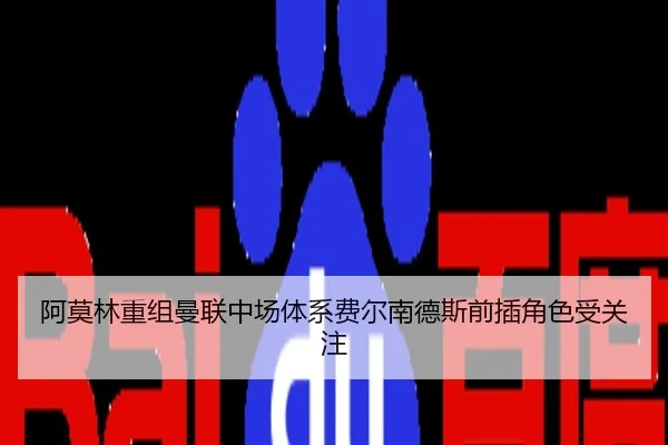 阿莫林重组曼联中场体系费尔南德斯前插角色受关注